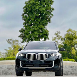 BMW X5 xDriver40i xLine